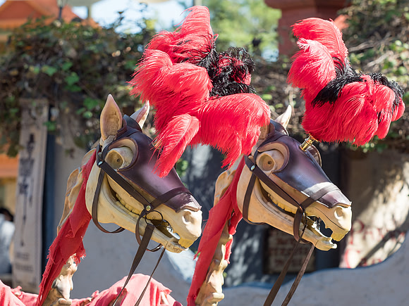 Texas Renaissance Festival