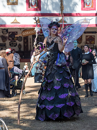 Texas Renaissance Festival