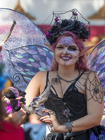 Texas Renaissance Festival