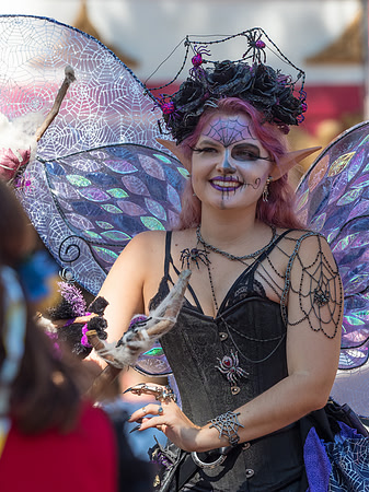 Texas Renaissance Festival