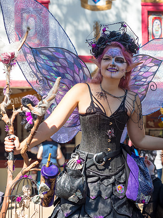 Texas Renaissance Festival