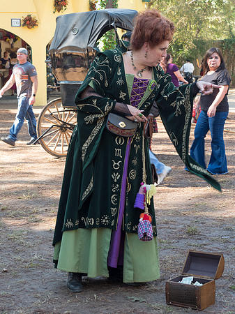 Texas Renaissance Festival