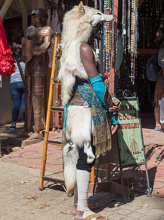 Texas Renaissance Festival
