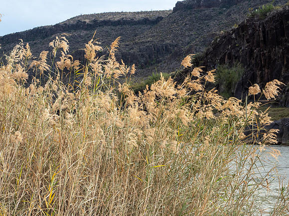 Big Bend Ranch State Park, Texas