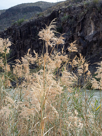 Big Bend Ranch State Park, Texas