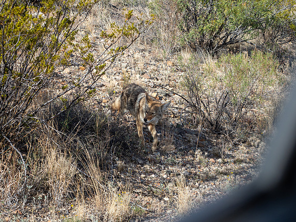 Big Bend National Park, Texas