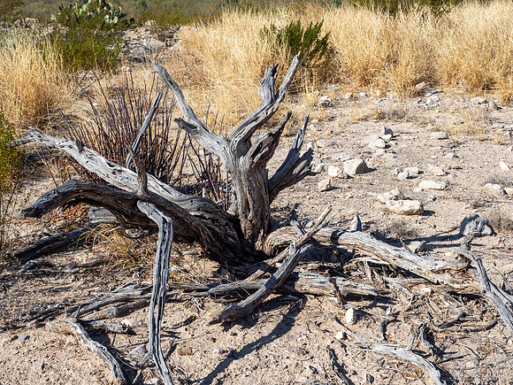 Big Bend National Park, Texas