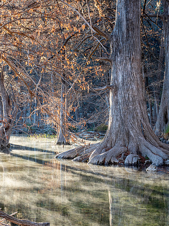 Garner State Park, Texas