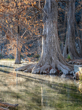 Garner State Park, Texas
