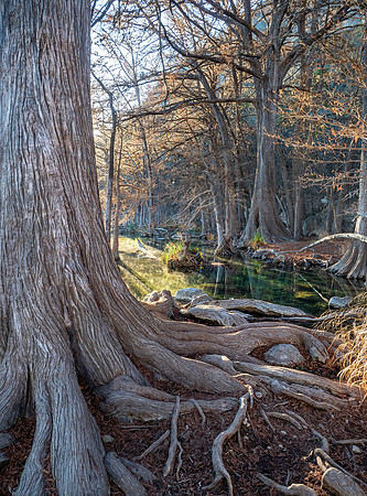 Garner State Park, Texas