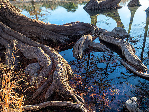 Garner State Park, Texas