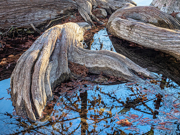 Garner State Park, Texas