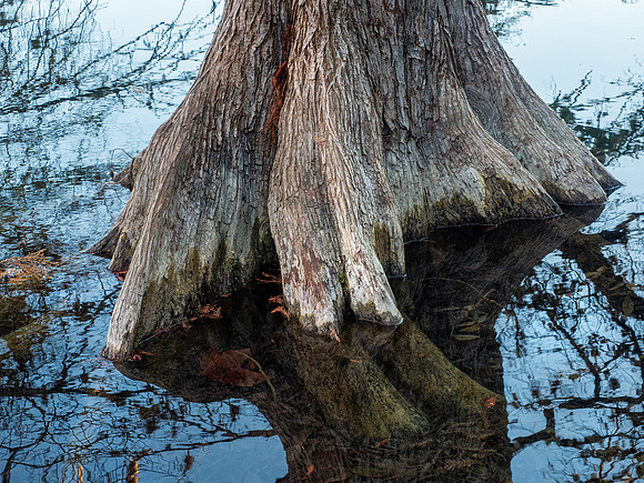 Garner State Park, Texas