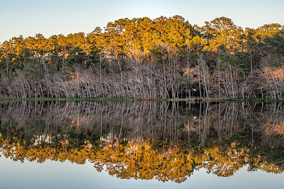 Mirror Lake