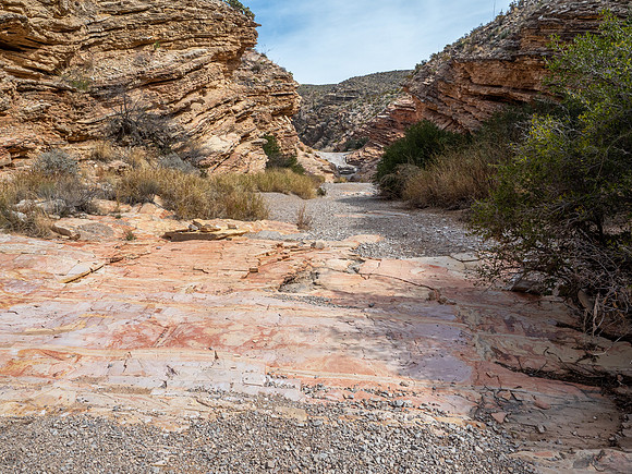 Big Bend National Park