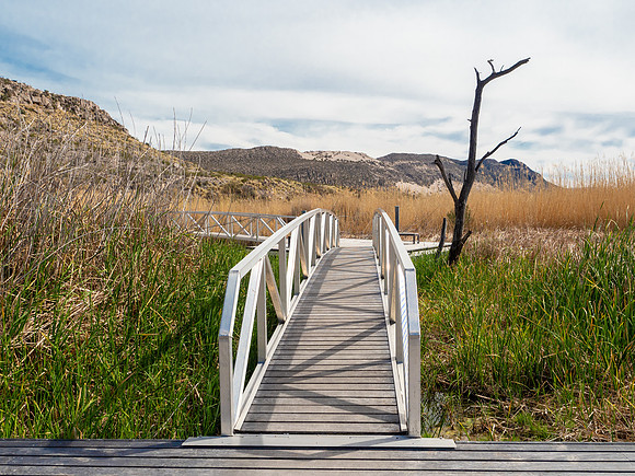 Big Bend National Park