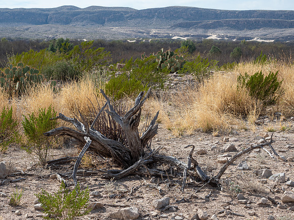 Big Bend National Park